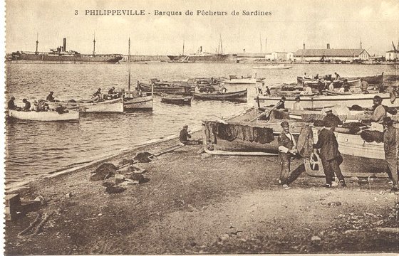 3 PHILIPPEVILLE - Barques de Pcheurs de Sardines