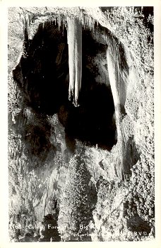 63 - Celery Formation, Big Room Carlsbad Cavern