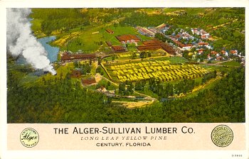 The Alger-Sullivan Lumber Co. Long Leaf Yellow Pine Century, Florida
