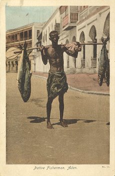 Native Fisherman, Aden. No. 11.