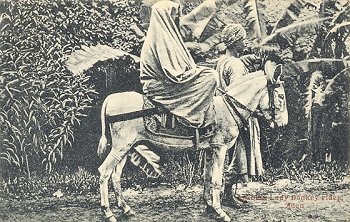 Arabian Lady Donkey rider, Aden