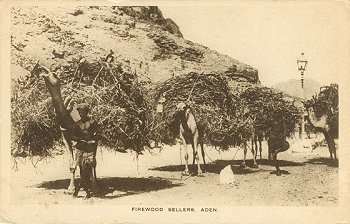 Firewood Sellers, Aden