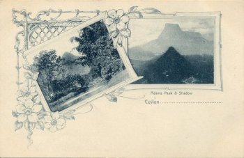 Adams Peak & Shadow Ceylon