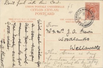 Reverse of card