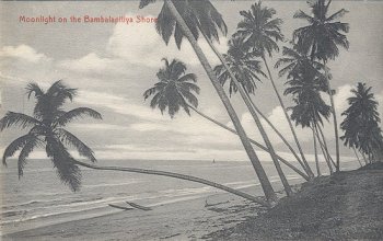 Moonlight on the Bambalapitiya Shore