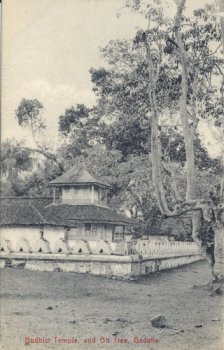 Budhist Temple and Bo Tree, Badulla