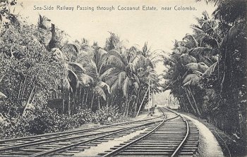 Sea-Side Railway Passing through Cocoanut Estate, near Colombo.