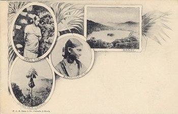 Vignette postcard of Kandy showing Tamil Girl, Talipot Palm in flower and Sinhalese Girl
