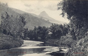 Adams Peak, Ceylon.