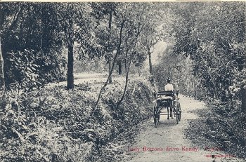 Lady Hortons drive Kandy. Ceylon.