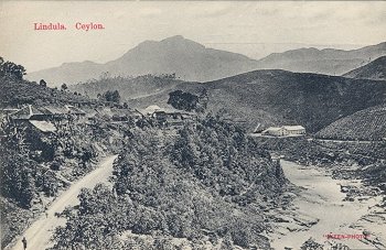 Lindula. Ceylon.
