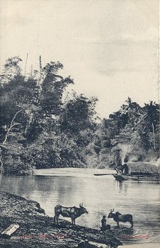 River Scene. Ceylon.