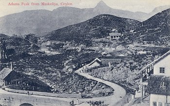 Adams Peak from Maskeliya, Ceylon.