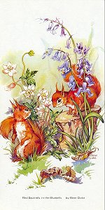 Red Squirrels in the Bluebells