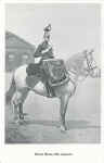 Drum Horse, 9th Lancers