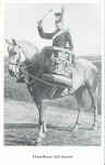 Drum Horse, 12th Lancers