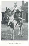 Drum Horse, 17th Lancers