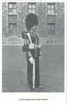 Colour Sergeant, Irish Guards