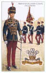 The Royal Hussars