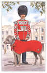Regiments Postcards