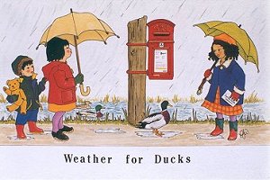 Weather for Ducks