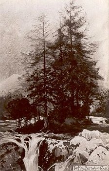 The Firs, Bettws-y-Coed