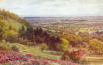 View from Leith Hill, S.E.