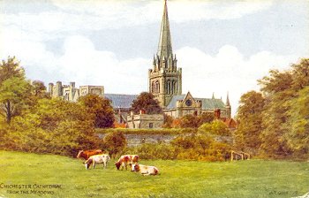 Chichester Cathedral from the Meadows