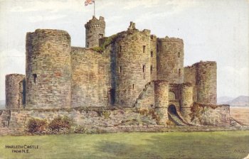 Harlech Castle, from N.E.