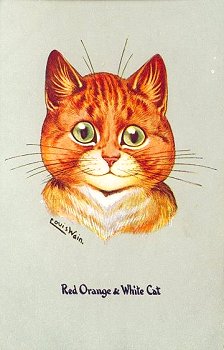 Red Orange & White Cat