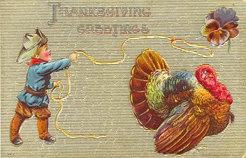 252 Thanksgiving Greetings