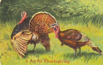 A Joyful Thanksgiving