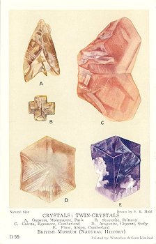 D55 Crystals: Twin Crystals