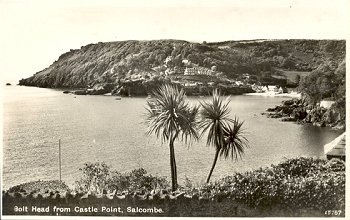 Bolt Head from Castle Point, Salcombe